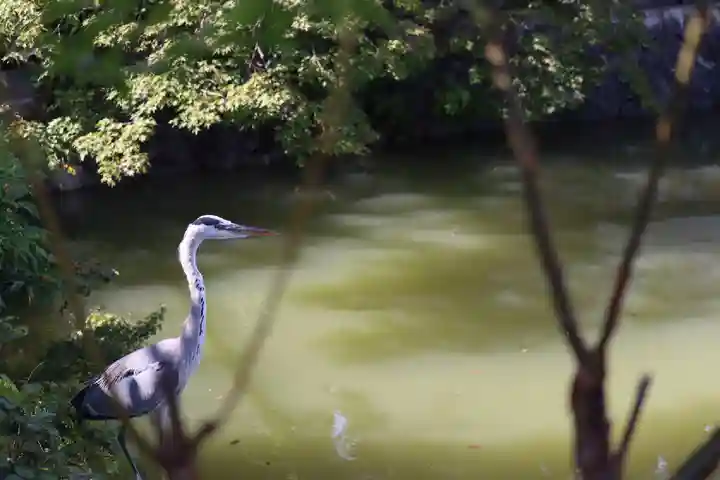 長岡天満宮(京都府)