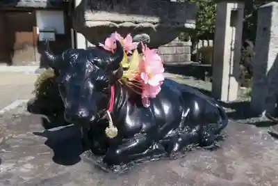 大松禅寺(京都府)