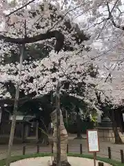 靖國神社の庭園