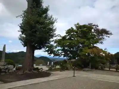 宝積寺のその他建物