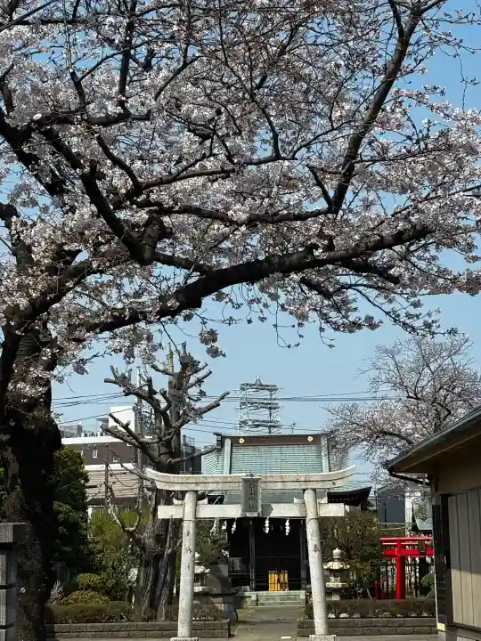 白山神社の{uncategorized: "未分類", other: "その他", undefined: "問題あり", building: "その他建物", grave: "お墓", sacred_gate: "鳥居", guardian: "狛犬", statue: "像", buddha: "仏像", history: "歴史", nature: "自然", garden: "庭園", animal: "動物", pagoda: "塔", temizu: "手水舎", mountain_gate: "山門・神門", sanctuary: "本殿・本堂", subordinate: "末社・摂社", art: "芸術", scenery: "景色", jizo: "地蔵", ema: "絵馬", goshuin: "御朱印", omikuji: "おみくじ", items: "授与品その他", amulet: "お守り", goshuincho: "御朱印帳", eats: "食事", festival: "お祭り", votive_dance: "神楽", shichigosan: "七五三参", wedding: "結婚式", experience: "体験その他", initially: "初詣", around: "周辺", anti_infection: "感染症対策"}