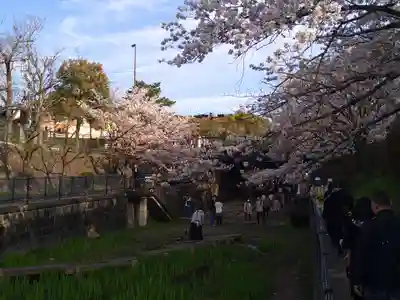 雨竜　専福寺(北海道)