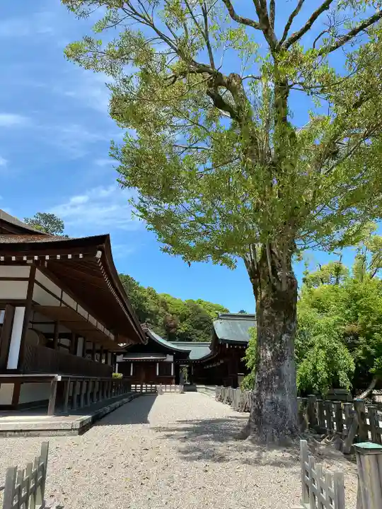 橿原神宮(奈良県)