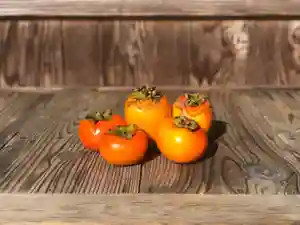 木舟山 順教寺(広島県)(2021年11月04日(木) 09時51分17秒投稿)