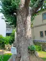 玄通寺(和歌山県)