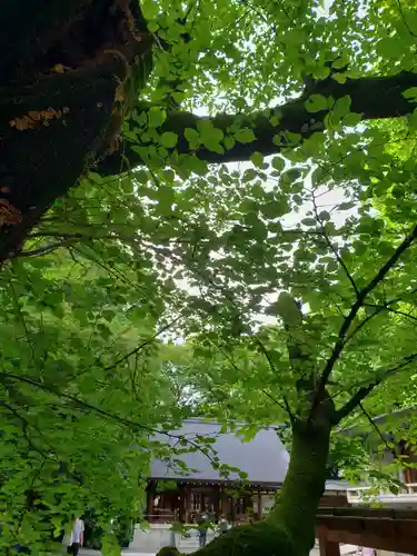 乃木神社(東京都)