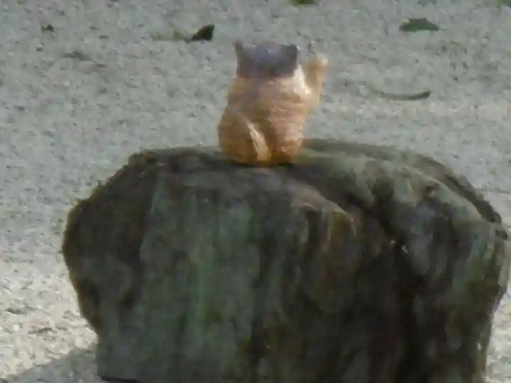 聖護院門跡の狛犬