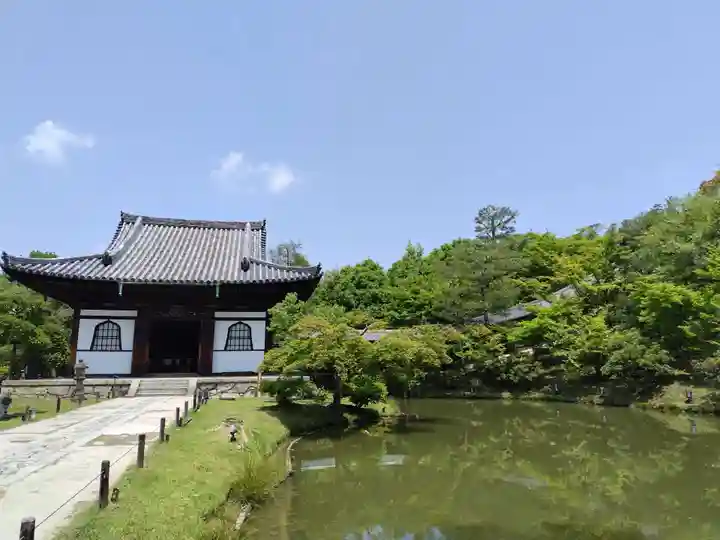 高台寺(高台寿聖禅寺・高臺寺)(京都府)
