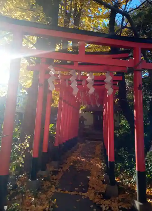 若宮八幡宮 (神奈川県)