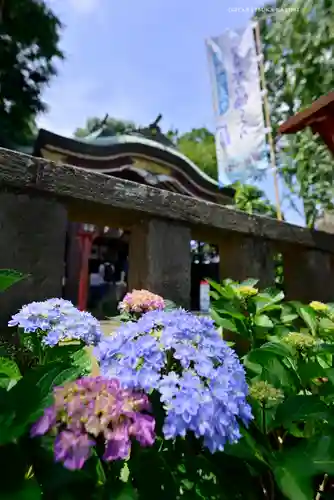 川越八幡宮(埼玉県)