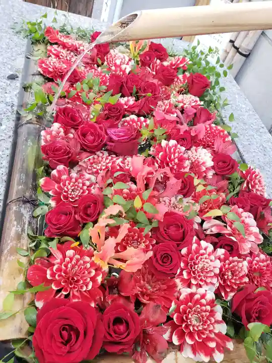 【閉業】小石川大神宮(東京都)