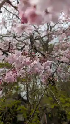 松ヶ崎大黒天 妙圓寺（妙円寺）(京都府)
