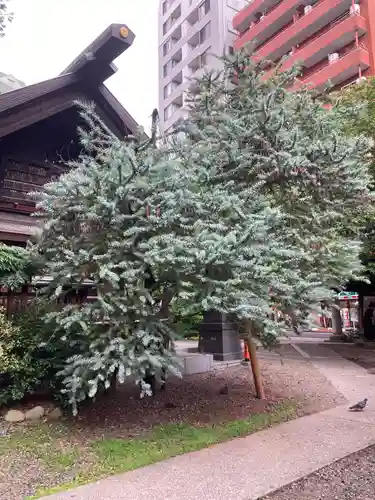 蔵前神社(東京都)