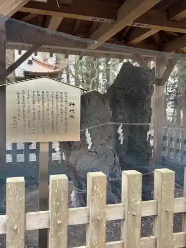 生品神社(群馬県)