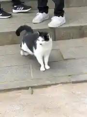 王子神社の動物