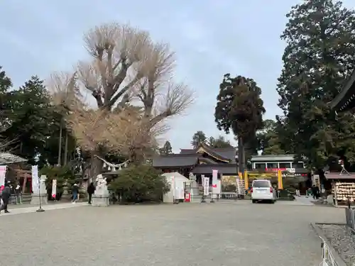 亀ケ池八幡宮のその他建物