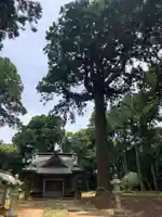 熊野神社(千葉県)