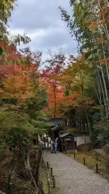 地蔵院(京都府)