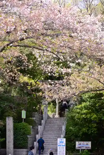 多摩川浅間神社の景色