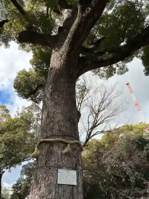東天神社の自然