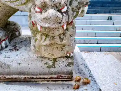 屋久島大社の狛犬