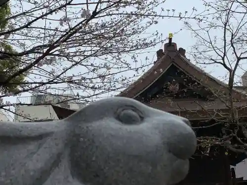 三輪神社の狛犬