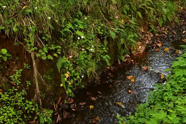 戸隠神社奥社(長野県)