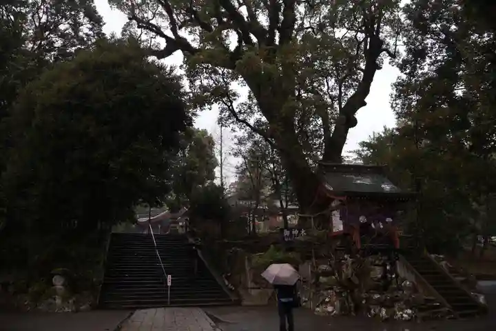 鹿児島神宮(鹿児島県)