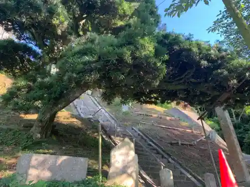 諏訪神社のその他建物