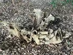 手力雄神社(岐阜県)