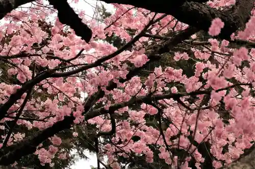 見渡神社の庭園