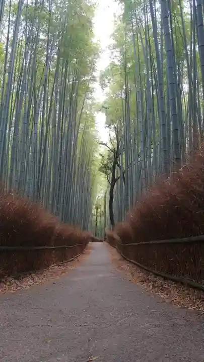 野宮神社の周辺