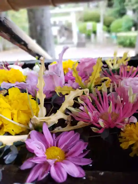 鳩森八幡神社の手水舎