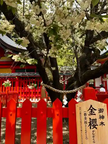 金櫻神社の{uncategorized: "未分類", other: "その他", undefined: "問題あり", building: "その他建物", grave: "お墓", sacred_gate: "鳥居", guardian: "狛犬", statue: "像", buddha: "仏像", history: "歴史", nature: "自然", garden: "庭園", animal: "動物", pagoda: "塔", temizu: "手水舎", mountain_gate: "山門・神門", sanctuary: "本殿・本堂", subordinate: "末社・摂社", art: "芸術", scenery: "景色", jizo: "地蔵", ema: "絵馬", goshuin: "御朱印", omikuji: "おみくじ", items: "授与品その他", amulet: "お守り", goshuincho: "御朱印帳", eats: "食事", festival: "お祭り", votive_dance: "神楽", shichigosan: "七五三参", wedding: "結婚式", experience: "体験その他", initially: "初詣", around: "周辺", anti_infection: "感染症対策"}