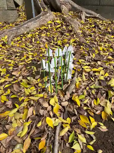 駒形神社(千葉県)