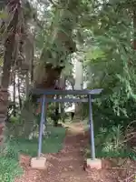 神社(名称不明)の鳥居