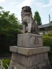 玉姫稲荷神社の狛犬