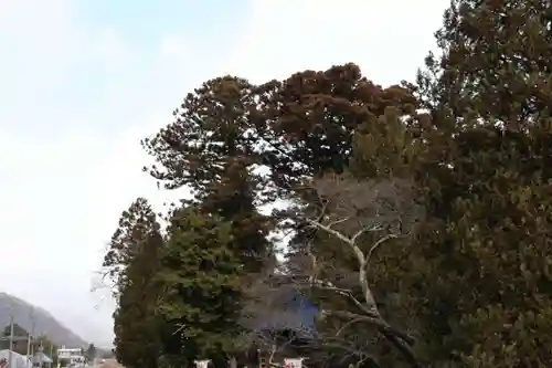 高司神社〜むすびの神の鎮まる社〜の景色