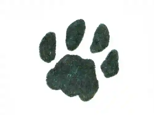 高司神社〜むすびの神の鎮まる社〜(福島県)