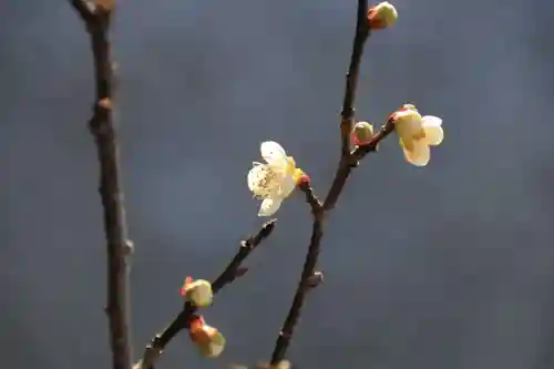 滑川神社 - 仕事と子どもの守り神の手水