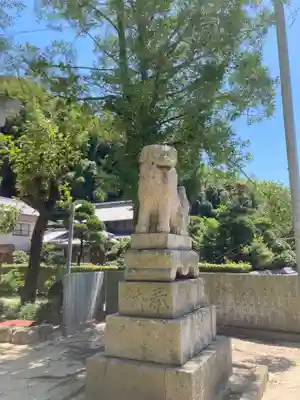 國津比古命神社の狛犬
