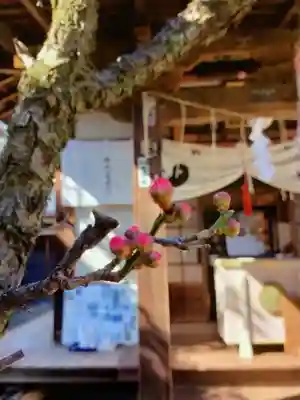 四谷於岩稲荷田宮神社(東京都)