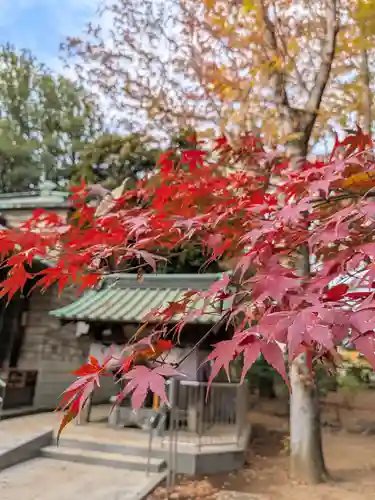 妙法寺(東京都)