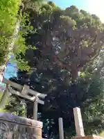 國勝神社の鳥居