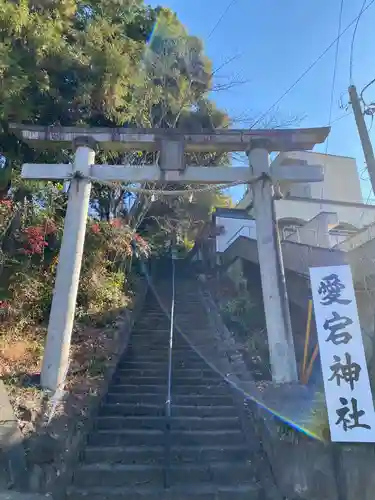 愛宕神社の鳥居