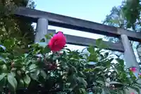 東京大神宮(東京都)