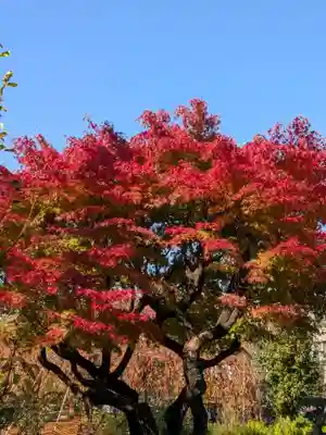 福蔵院(東京都)