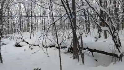 神楽神社の自然