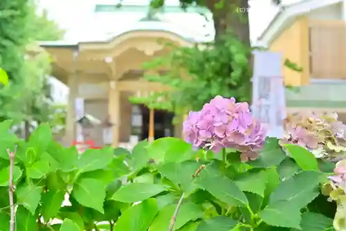 矢先稲荷神社(東京都)