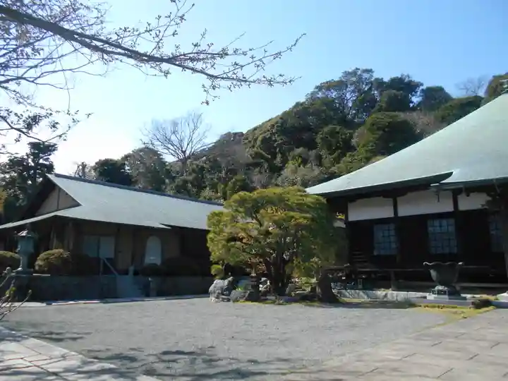 新善光寺の本殿・本堂
